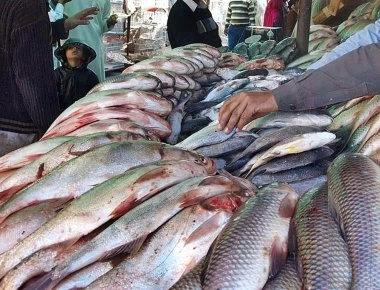 Ποιο ψάρι θωρακίζει το ανοσοποιητικό μας;